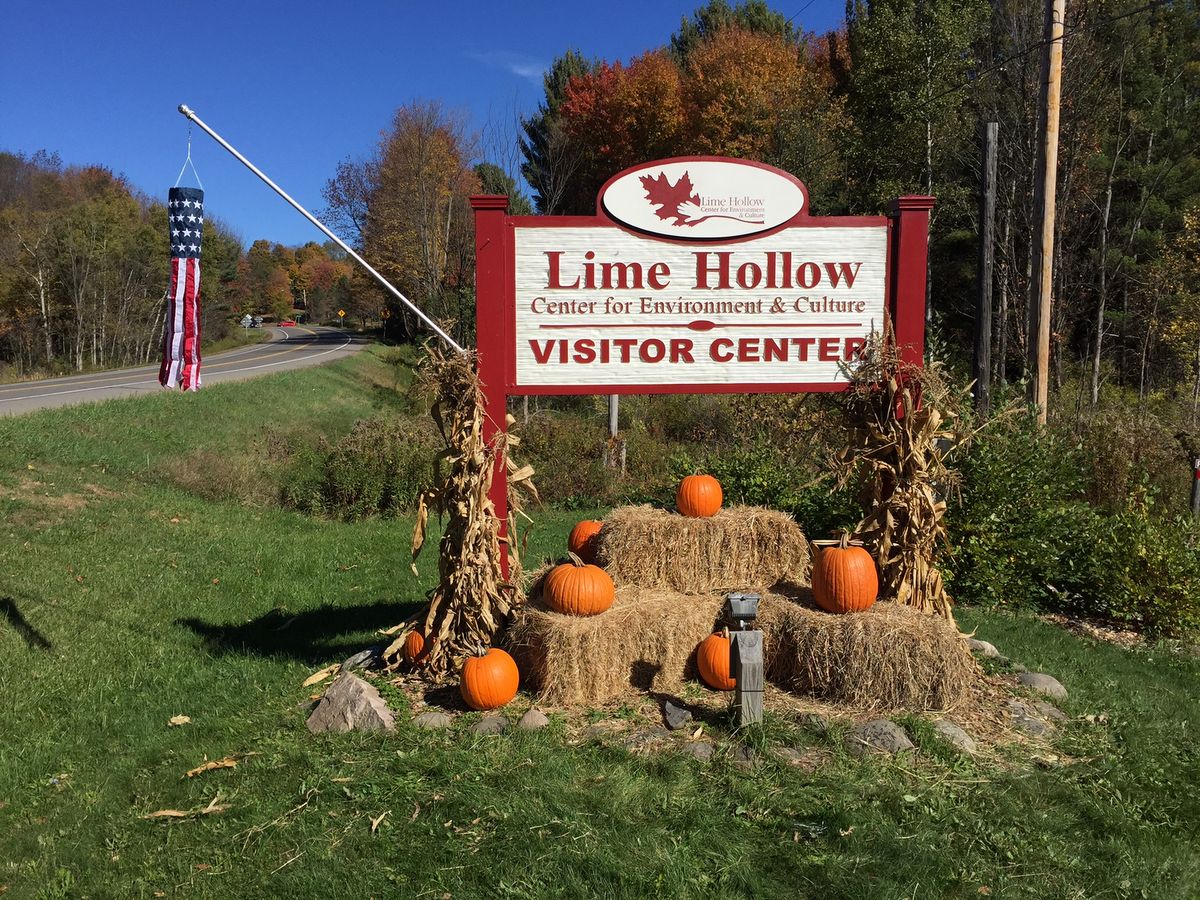 Lime Hollow Nature Center Offers Rich Summer Programs for Local Youth